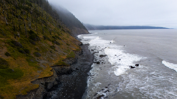 Aerial view of the rugged Lost Coast with steep forested cliffs a dark rocky beach and crashing waves under a misty sky in Humboldt County California United States.