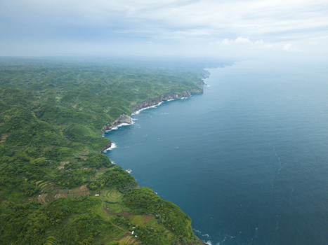 Aerial view of the rugged coastline where the lush green vegetation meets the deep blue sea near Sedahan Beach Gunungkidul Regency Indonesia. Aerial view of the rugged coastline where the lush green vegetation meets the deep blue sea near Sedahan Beach Gunungkidul Regency Indonesia.