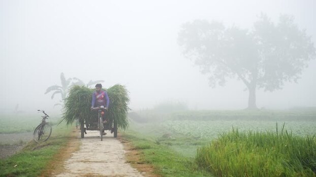 View of a man transporting grass on a bicycle Bangladesh. View of a man transporting grass on a bicycle Bangladesh.