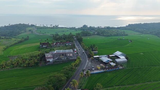 Aerial view of Soka Rice Field Views in Selemadeg Indonesia.