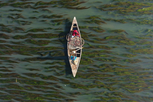 Aerial view of a wooden boat with two men and a bicycle navigating through green aquatic plants in the river in Joypurhat Rajshahi Division Bangladesh. Aerial view of a wooden boat with two men and a bicycle navigating through green aquatic plants in the river in Joypurhat Rajshahi Division Bangladesh.