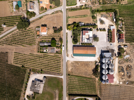 Aerial view of the rural landscape in Ortezzano featuring vineyards a road with a truck and agricultural buildings in the Marche region Ortezzano Marche Italy. Aerial view of the rural landscape in Ortezzano featuring vineyards a road with a truck and agricultural buildings in the Marche region Ortezzano Marche Italy.