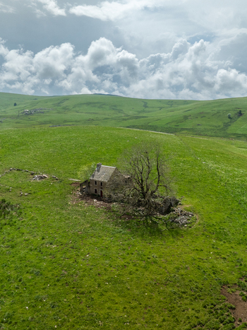 Aerial view of a stone house nestled amidst a vibrant green field shadowed by a solitary tree against a backdrop of cloudy skies Nasbinals Occitanie France. Aerial view of a stone house nestled amidst a vibrant green field shadowed by a solitary tree against a backdrop of cloudy skies Nasbinals Occitanie France.