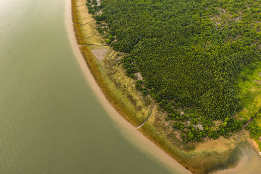 Aerial view of the lush mangrove forest meeting the calm river waters and mudflats in Opobo Town Rivers Nigeria. Aerial view of the lush mangrove forest meeting the calm river waters and mudflats in Opobo Town Rivers Nigeria.