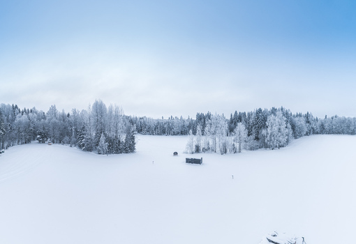 Aerial view of a snow covered field surrounded by a dense forest with frost covered trees under a bright winter sky in Latvia. Aerial view of a snow covered field surrounded by a dense forest with frost covered trees under a bright winter sky in Latvia.