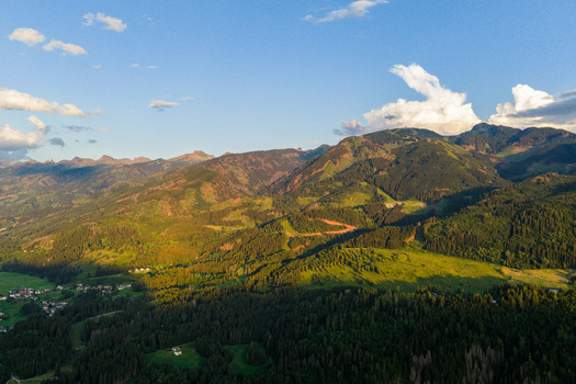 Aerial view of Fiemme Valley with lush green forests and mountain slopes illuminated by golden hour light in Trentino Alto Adige Italy.