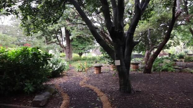 View of Royal Botanic Garden Sydney Australia.