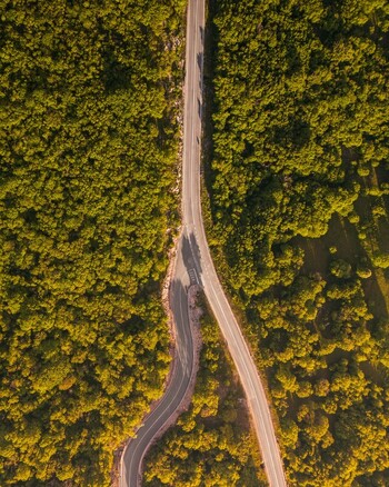 Aerial view of a winding asphalt road cutting through a dense green forest under warm golden sunlight in Rijeka Primorje Gorski Kotar Croatia. Aerial view of a winding asphalt road cutting through a dense green forest under warm golden sunlight in Rijeka Primorje Gorski Kotar Croatia.