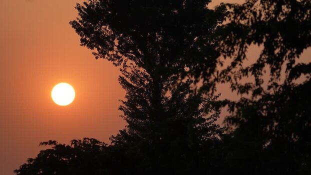 View of the sun setting behind silhouetted trees in Bangladesh.