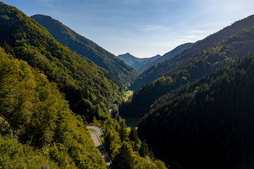 Aerial view of a winding road through a lush green mountain valley with dense forests under a clear blue sky in Skofja Loka Slovenia.