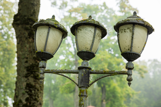 View of three vintage street lamps covered in moss and spider webs in a park with green trees in the background Taujenai Vilnius County Lithuania.