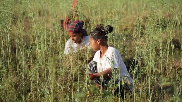 View of women working in a rural field in Dang Nepal.