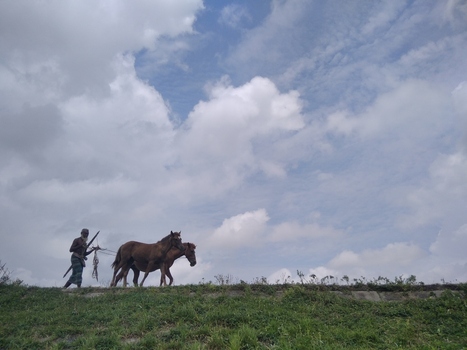 Kushtia Khulna Division Bangladesh 27 April 2020 View of a man leading two horses along a grassy embankment under a cloudy sky. Kushtia Khulna Division Bangladesh 27 April 2020 View of a man leading two horses along a grassy embankment under a cloudy sky.
