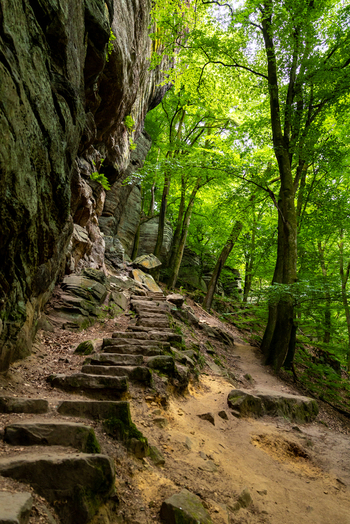 View of the Mullerthal Trail featuring stone steps carved into a sandstone rock formation surrounded by lush green forest in Berdorf Echternach Luxembourg. View of the Mullerthal Trail featuring stone steps carved into a sandstone rock formation surrounded by lush green forest in Berdorf Echternach Luxembourg.