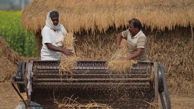 View of farmers threshing grain in Patna India.