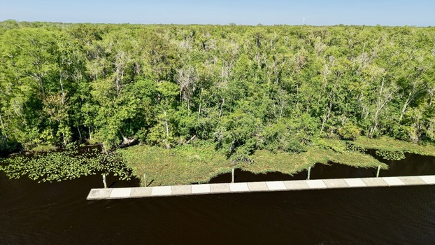 Aerial view of Sixmile Creek featuring dense green forest a long concrete pier over dark water and lily pads along the shoreline St. Johns County Florida United States.