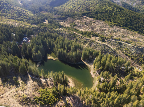 Aerial view of Vrbicke pleso glacial lake surrounded by dense pine forest and mountain slopes under bright sunlight in Demanovska Dolina Zilina Region Slovakia. Aerial view of Vrbicke pleso glacial lake surrounded by dense pine forest and mountain slopes under bright sunlight in Demanovska Dolina Zilina Region Slovakia.