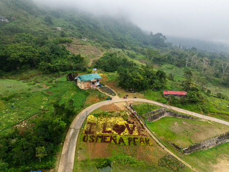 Aerial view of Osmena Peak featuring a small building winding road and a flower bed on the lush green hills shrouded in mist in Dalaguete Central Visayas Philippines.