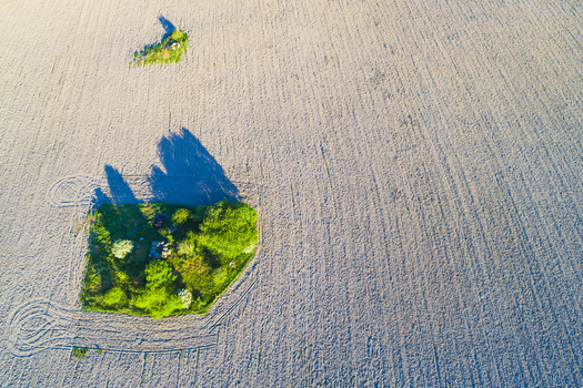 Aerial view of a small patch of lush green trees and shrubs surrounded by a vast tilled agricultural field in Vanersnas Vastra Gotalands lan Sweden. Aerial view of a small patch of lush green trees and shrubs surrounded by a vast tilled agricultural field in Vanersnas Vastra Gotalands lan Sweden.