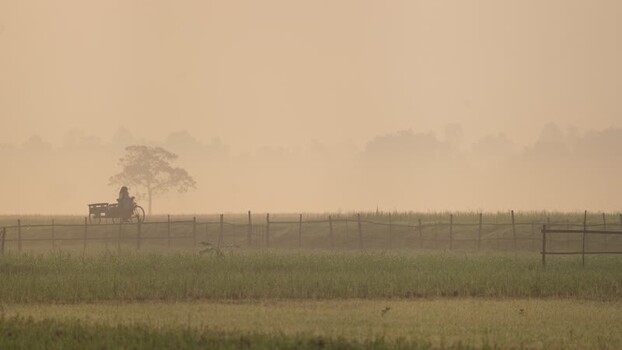View of a person on a cart in the misty fields of Bangladesh.