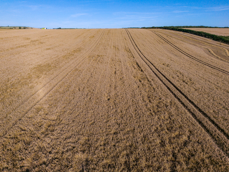 Aerial view of freshly harvested agricultural fields with visible tractor tracks and surrounding hedgerows in the rural landscape of Looe Cornwall United Kingdom. Aerial view of freshly harvested agricultural fields with visible tractor tracks and surrounding hedgerows in the rural landscape of Looe Cornwall United Kingdom.