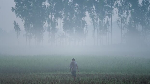 View of a man walking through a foggy field in Bogura Bangladesh.