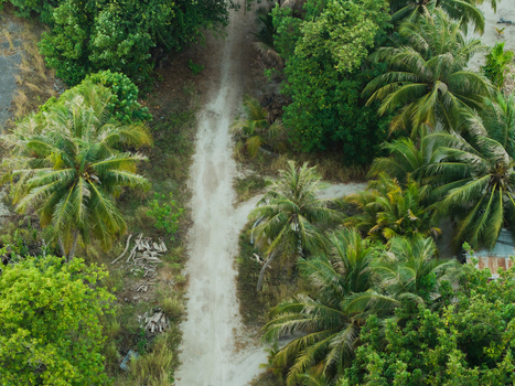 Aerial view of a sandy path cutting through lush green tropical vegetation showcasing the vibrant island life Vashafaru Island Thiladhummathi Atoll Maldives. Aerial view of a sandy path cutting through lush green tropical vegetation showcasing the vibrant island life Vashafaru Island Thiladhummathi Atoll Maldives.
