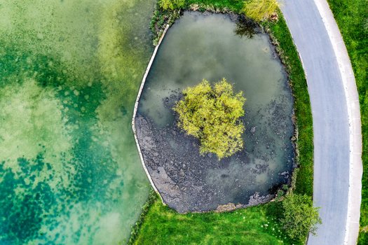 Aerial view of the Ailsbach pond featuring a small island with a single tree surrounded by green water and a paved path Lonnerstadt Bayern Germany. Aerial view of the Ailsbach pond featuring a small island with a single tree surrounded by green water and a paved path Lonnerstadt Bayern Germany.