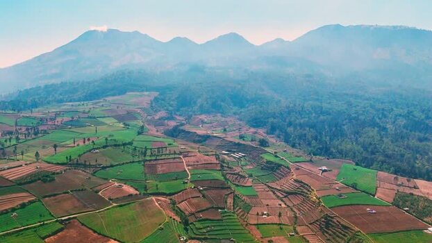 Aerial view of Brakseng agricultural fields in Indonesia.