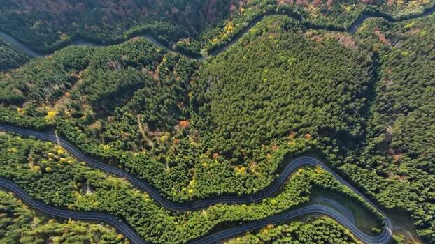 Aerial view of winding road in Transylvania Romania.