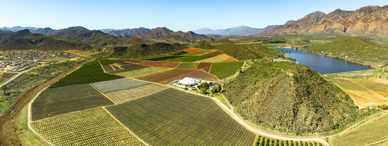 Aerial view of lush vineyards and agricultural fields in a mountain valley with a blue lake and rugged peaks under a clear sky Western Cape South Africa.