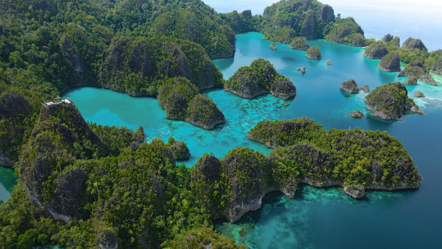 Aerial view of the lush green karst islands of Raja Ampat surrounded by vibrant turquoise waters and coral reefs in Indonesia. Aerial view of the lush green karst islands of Raja Ampat surrounded by vibrant turquoise waters and coral reefs in Indonesia.
