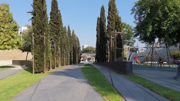 Aerial view of Municipal Garden pathways and cypress trees Cyprus.