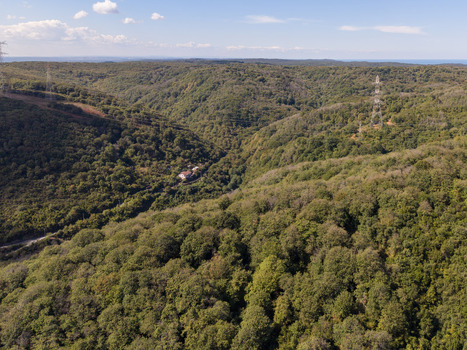 Aerial view of a lush green valley covered in dense forest with a small house nestled in the trees and power line towers on the hillsides in Istanbul Istanbul Turkiye. Aerial view of a lush green valley covered in dense forest with a small house nestled in the trees and power line towers on the hillsides in Istanbul Istanbul Turkiye.