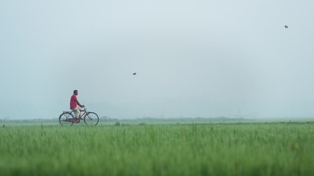 View of a man riding a bicycle through a foggy field Bangladesh. View of a man riding a bicycle through a foggy field Bangladesh.
