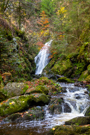 View of a waterfall cascading over mossy rocks in the Ravennaschlucht gorge surrounded by vibrant autumn foliage Breitnau Baden Wurttemberg Germany. View of a waterfall cascading over mossy rocks in the Ravennaschlucht gorge surrounded by vibrant autumn foliage Breitnau Baden Wurttemberg Germany.