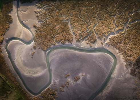 Aerial view of Rogerstown Estuary showing winding water channels through salt marshes and mudflats under soft light Lusk County Dublin Ireland. Aerial view of Rogerstown Estuary showing winding water channels through salt marshes and mudflats under soft light Lusk County Dublin Ireland.
