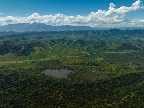 Aerial view of a serene lake nestled amidst rolling green hills and forests framed by distant mountains beneath a sky of fluffy white clouds Noumea South Province New Caledonia.
