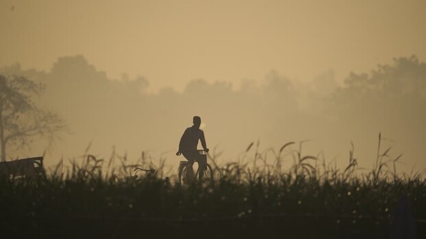 View of a man riding a bicycle through a misty field Bangladesh. View of a man riding a bicycle through a misty field Bangladesh.
