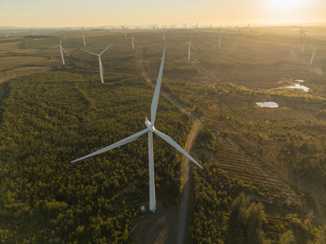 Aerial view of Whitelee Wind Farm on Eaglesham Moor with wind turbines standing over a vast forest landscape during golden hour Kilmarnock Scotland United Kingdom.