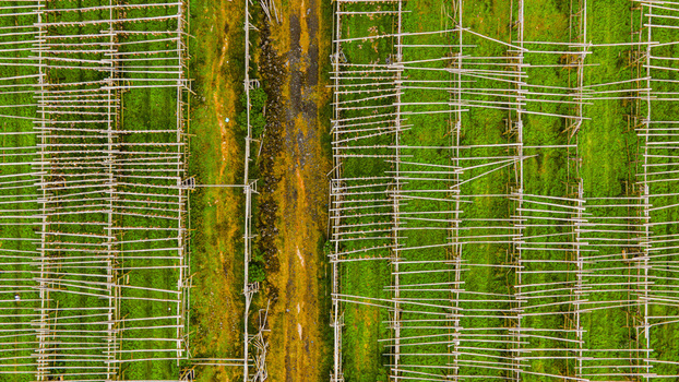 Aerial view of a fish drying facility with wooden racks arranged in rows over a green field in Hafnarfjordur Hafnarfjardarkaupstadh Iceland. Aerial view of a fish drying facility with wooden racks arranged in rows over a green field in Hafnarfjordur Hafnarfjardarkaupstadh Iceland.