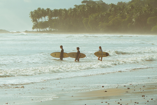 View of three surfers walking into the ocean with surfboards at a tropical beach with palm trees under golden hour light in Costa Rica.