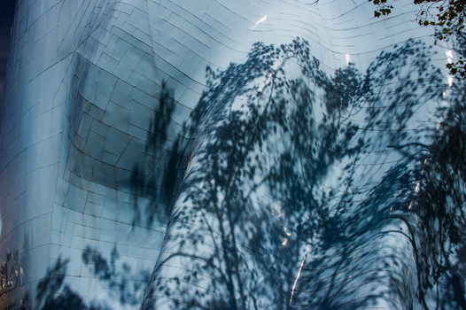View of the metallic curved exterior of the Museum of Pop Culture with tree shadows cast on the surface in Seattle Washington United States.