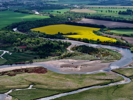 Aerial view of Findhorn Bay featuring a vibrant yellow rapeseed field winding river and lush green forests in Findhorn Scotland United Kingdom. Aerial view of Findhorn Bay featuring a vibrant yellow rapeseed field winding river and lush green forests in Findhorn Scotland United Kingdom.