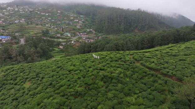 Aerial view of Pedro Tea Estate in Nuwara Eliya Sri Lanka. Aerial view of Pedro Tea Estate in Nuwara Eliya Sri Lanka.