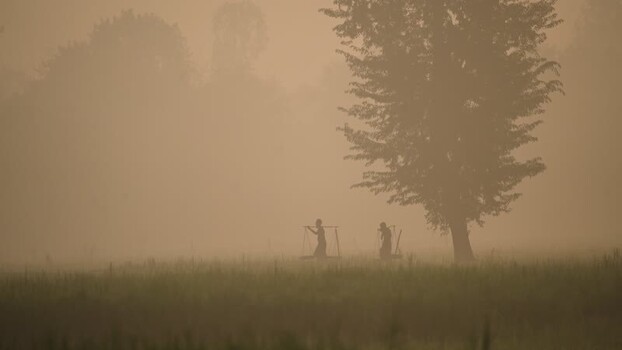View of workers in a misty field in Bogura Bangladesh. View of workers in a misty field in Bogura Bangladesh.
