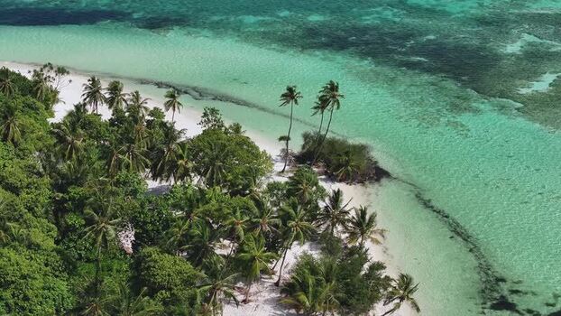 Aerial view of a tropical beach with palm trees and coral reefs Maldives. Aerial view of a tropical beach with palm trees and coral reefs Maldives.