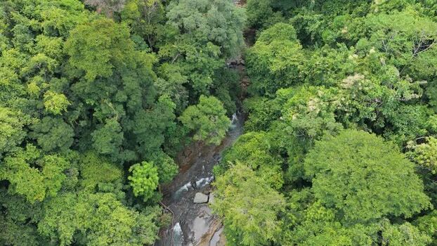 Aerial view of tropical rainforest and river Costa Rica. Aerial view of tropical rainforest and river Costa Rica.