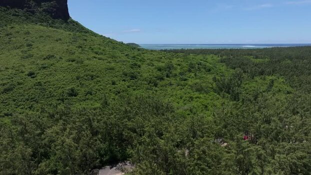 Aerial view of Le Morne Brabant mountain Mauritius.