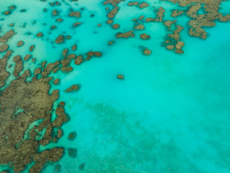 Aerial view of the vibrant turquoise waters swirling around the dark coral formations in the lagoon Pine Island New Caledonia. Aerial view of the vibrant turquoise waters swirling around the dark coral formations in the lagoon Pine Island New Caledonia.